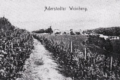 Weinberg Aderstedt um 1900